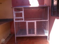 /album/vireiros/a8332938018-jpg/